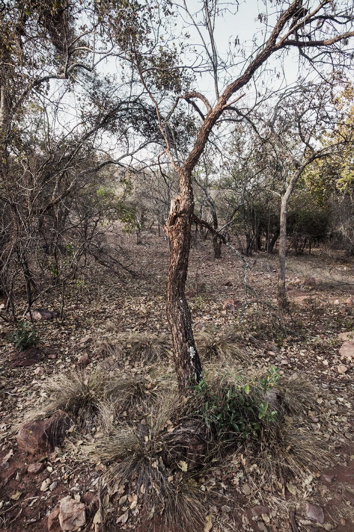 Among Others — Ben Viljoen, 2025